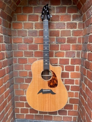 Breedlove Focus D Dreadnought (bargain price!!)